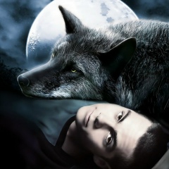 Владимир Видов, Санкт-Петербург