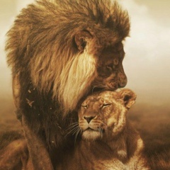 Жамал Оспанкулова, 27.02, Алматы