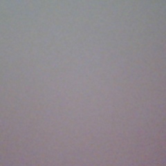 Никита Холщевников, 18.02.1988, Санкт-Петербург