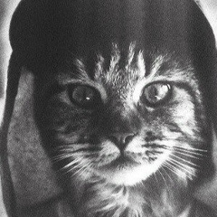 Artes Kaparov, 03.12.1992, Новосибирск