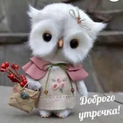 Галина Плотникова, Пермь