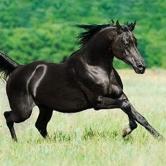 Ерасыл Бекенов, 08.08.1991, Атырау