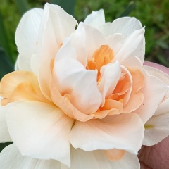 Марина Кошелева, 30.06.1972, Санкт-Петербург