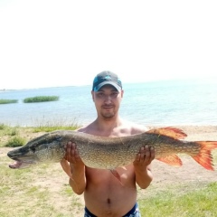 Талгат Уразов, 28.03.1987, Петропавловск