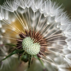 Ирина Мазур, 03.02