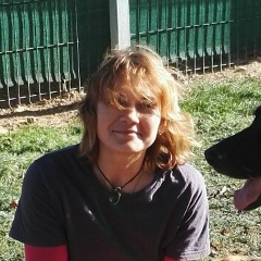 Полина Воробьева, 04.11.2009