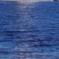 Елена Торощина, Тверь