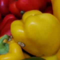 Евгений Абдуллаев, 09.06.1984, Москва