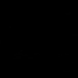 Богдан Сарапин, 04.12.1986, Levittown