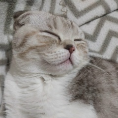 Наталья Александровна, 18.08, Одесса