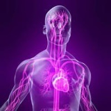 Андрей Перминов, Санкт-Петербург