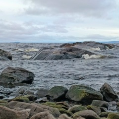 Екатерина Золина, 07.09.1988, Санкт-Петербург