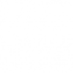 Оля Кушнерик, 04.04.1991, Алматы