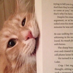 Елена Волошина, Киев