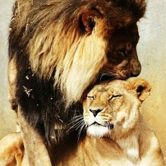 Иван Юрин, 03.02, Лиски