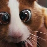 Gosha Iclan, 12.05.1985, Астана