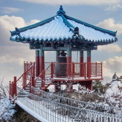 Жалгас Картикенов, 04.01.1987, Актобе