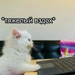 Анастасия Полнова, 30.09, Новосибирск