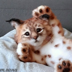 Светлана Данс, 02.01, Санкт-Петербург