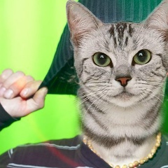 Антон Подлесных, 23.12.1987, Санкт-Петербург