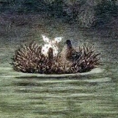 Алексей Герасимов, 20.10, Димитровград