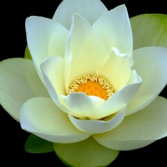 Наргиз Матазимова, 25.05.1988, Москва