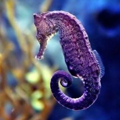 No Name, 14.05, Москва