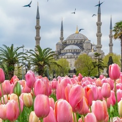 Приём Заказов, 19.06.1994
