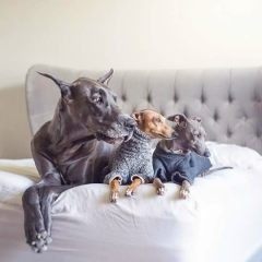 Мария Шевелева, Ростов-на-Дону