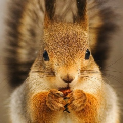 Оксана Лебедева-Скочко, 25.08, Москва