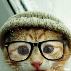 Арайлым Нурмухаметова, 01.09.1993, Талдыкорган