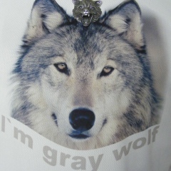 Сергей Лубенцов, 27.03, Новосибирск