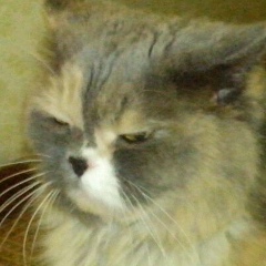 Паша Аннезя, 06.04.1988, Владивосток