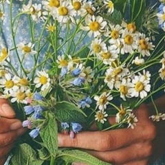 Ольга Шайдуллина, 18.12, Набережные Челны