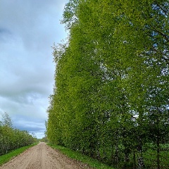 Наталья , 07.04