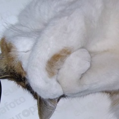 Наталья Бобровская, 20.11, Зеленоградск