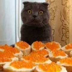 Максим Ярмольчук, 01.10.2006, Киев