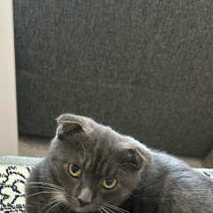 Dinara Usharal, Алматы