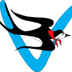 Первые Ласточки Дайджест, Волжский