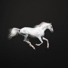 Arai Baimahan, 16.06.1998, Астана