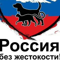 Наталья Обруч, 19.08.1973, Санкт-Петербург