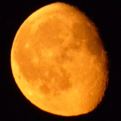 Мария Султанская, 01.05, Киев