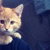 Егор Голодаев, 27.04, Саратов