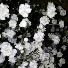 Мерим Приева, 11.03.1993, Екатеринбург