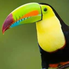 Alejandra Alvarez, 22.09.1970