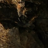 Леон Авакян, 02.12.1982, Ростов-на-Дону