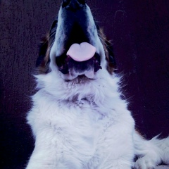 Дима Циун, 19.11