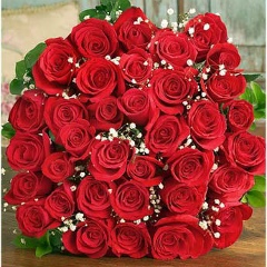 Айгуль Атай, 25.05, Алматы