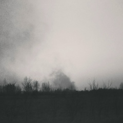 Павел Туников, 31.12