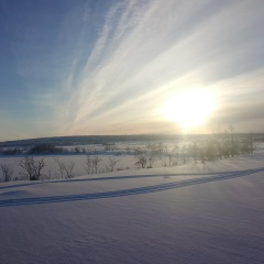 Георгий Ширай, Мурманск